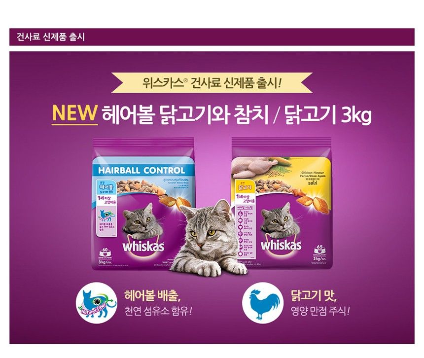 [사료샘플] 위스카스 캣 포켓 닭고기 40g 1번째