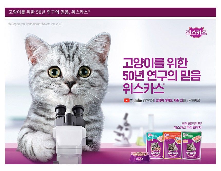 [사료샘플] 위스카스 캣 포켓 닭고기 40g 2번째