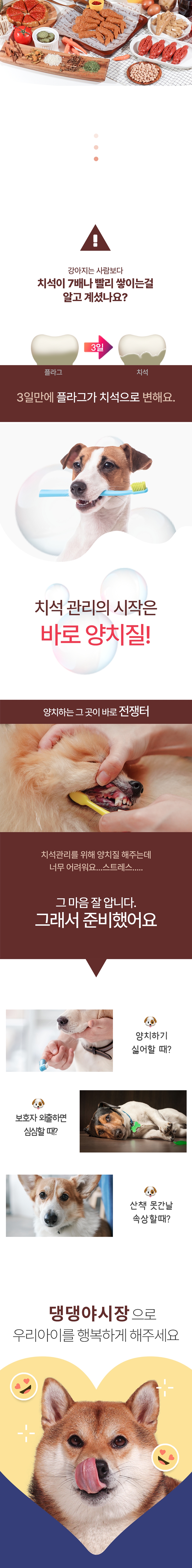 [무료배송] 펫투데이 댕댕야시장 치석 덴탈껌 5종 택1 3번째