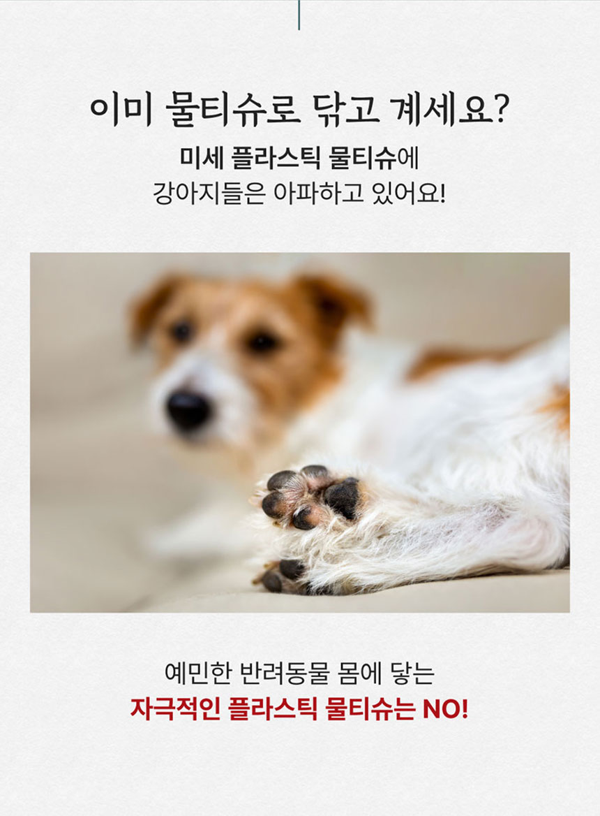 [NEW신상]페피릴리프 강아지 대나무 페이셜티슈 10팩 3번째