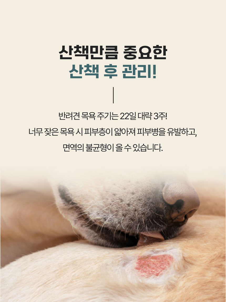 [NEW신상]페피릴리프 강아지 대나무 페이셜티슈 10팩 7번째