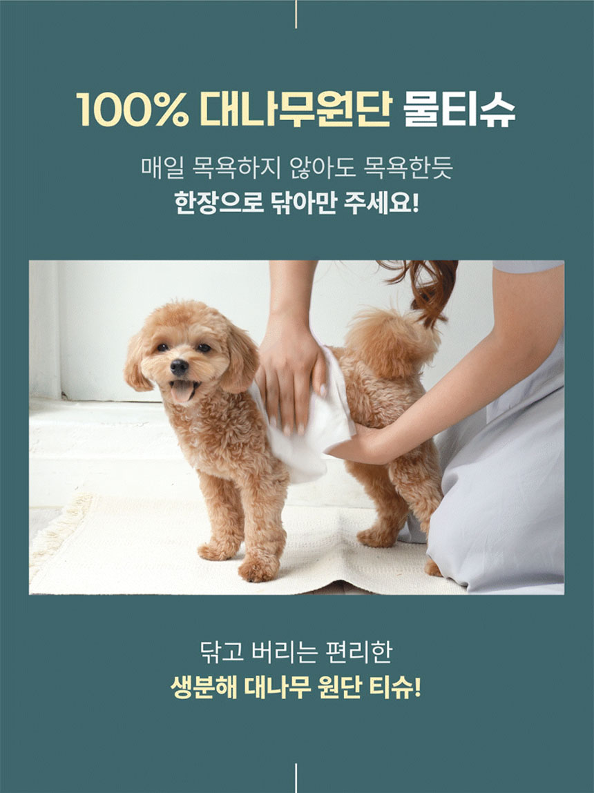 [NEW신상]페피릴리프 강아지 대나무 페이셜티슈 10팩 2번째