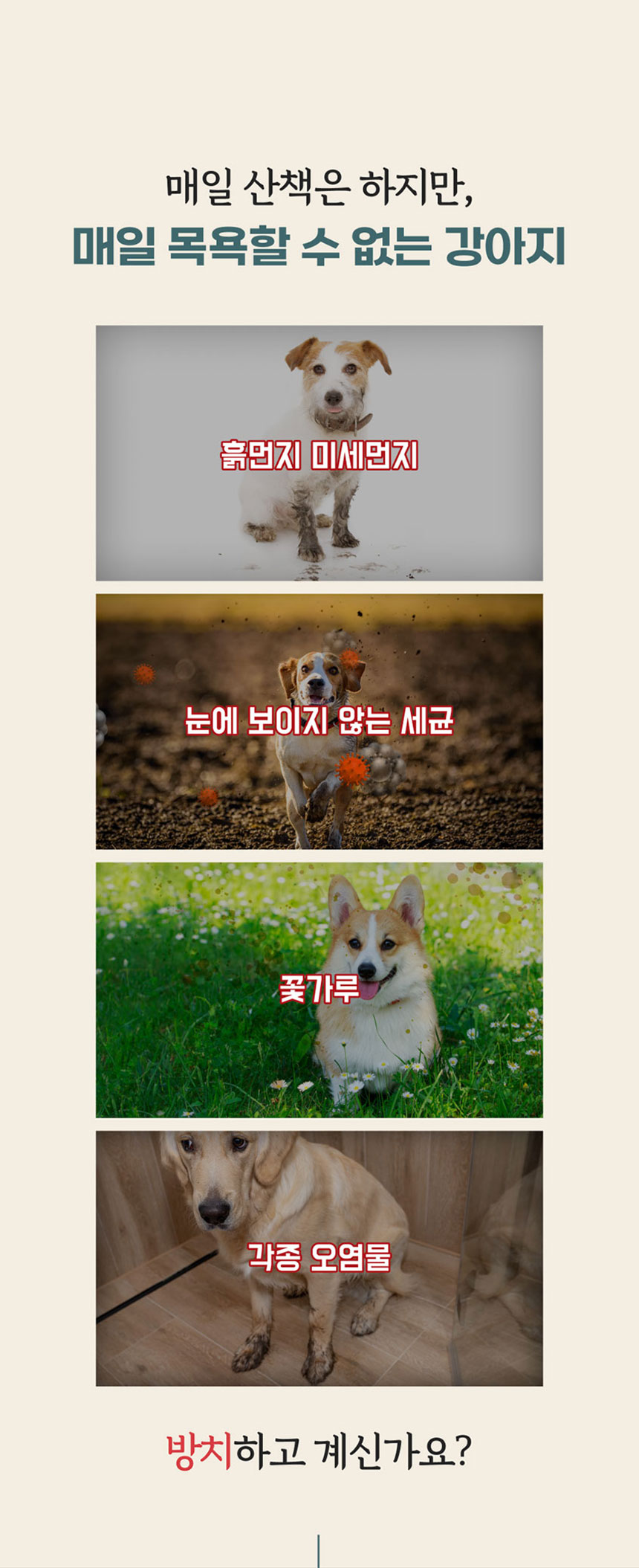 [NEW신상]페피릴리프 강아지 대나무 페이셜티슈 10팩 1번째