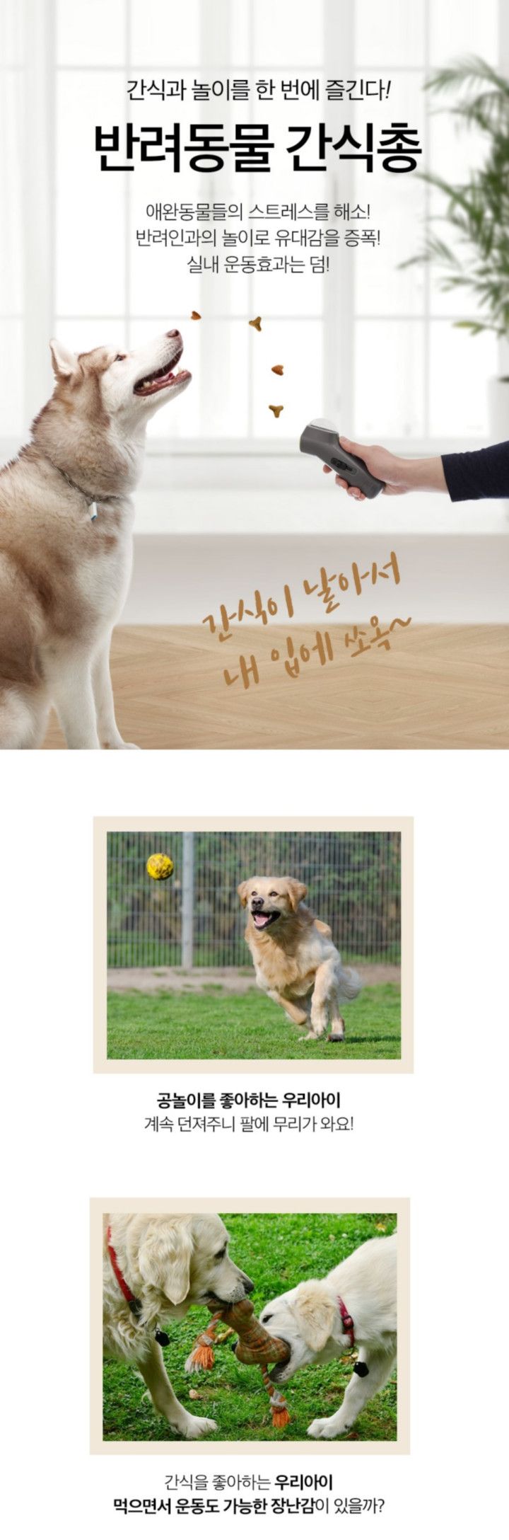 [무료배송] 제이코 독 간식 총 1번째