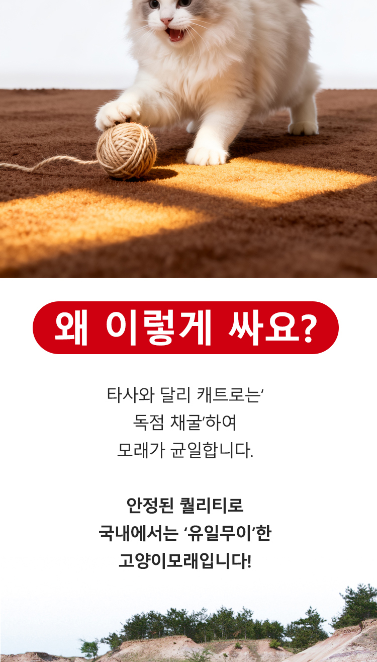 [NEW신상][무료배송] [3개] 런롱펫 벤토나이트 모래 6kg 6번째