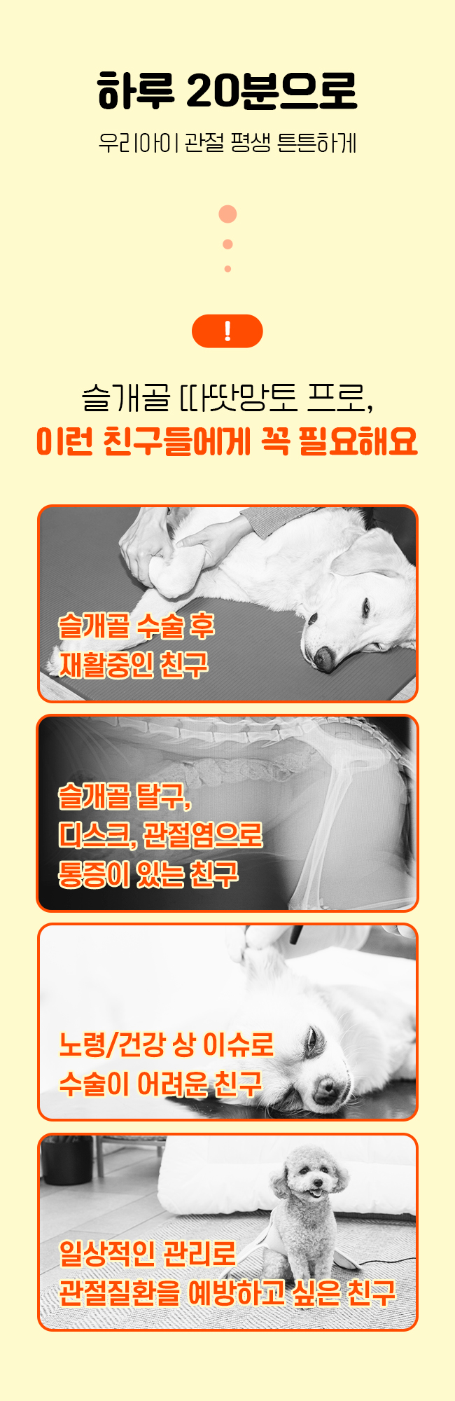 [무료배송] 시리어스펫 슬개골 따땃망토 프로 2번째