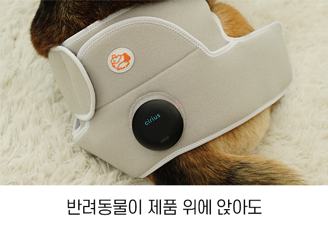 [가을특가][무료배송] 시리어스펫 슬개골 따땃망토 프로 31번째