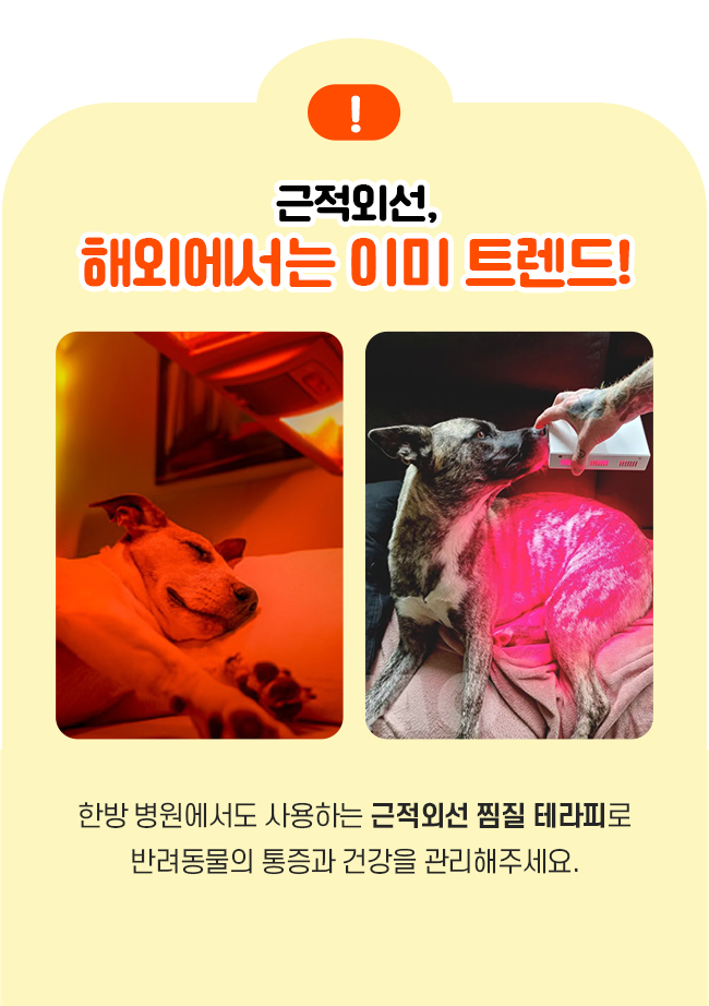 [가을특가][무료배송] 시리어스펫 슬개골 따땃망토 프로 12번째
