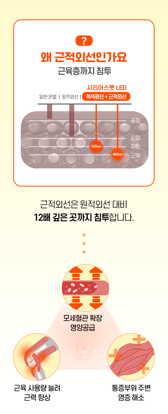 [무료배송] 시리어스펫 슬개골 따땃망토 프로 16번째