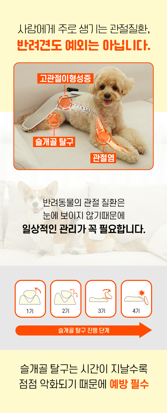 [가을특가][무료배송] 시리어스펫 슬개골 따땃망토 프로 14번째