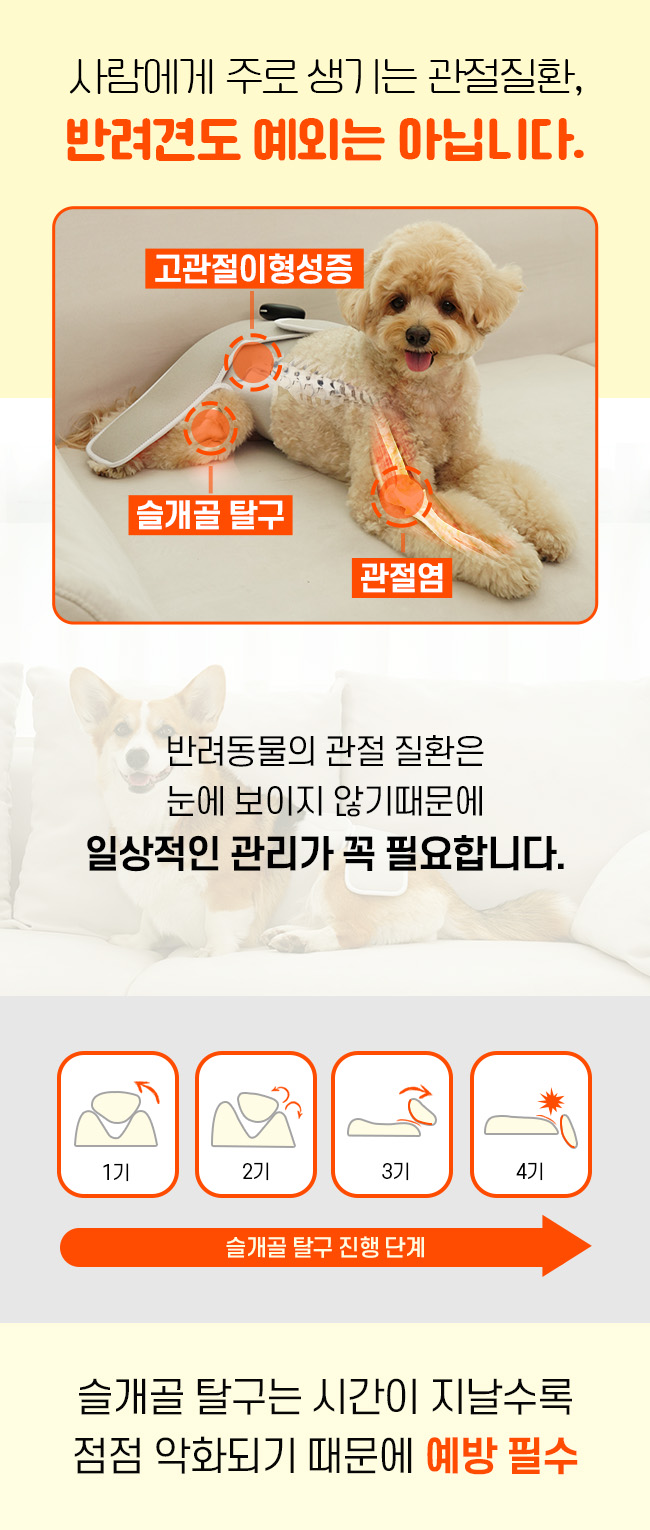 [무료배송] 시리어스펫 슬개골 따땃망토 프로 17번째