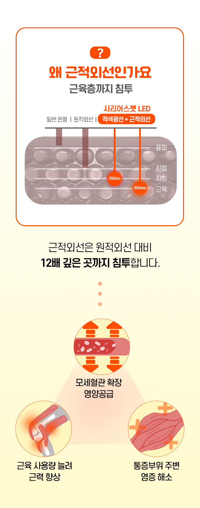 [가을특가][무료배송] 시리어스펫 슬개골 따땃망토 프로 10번째