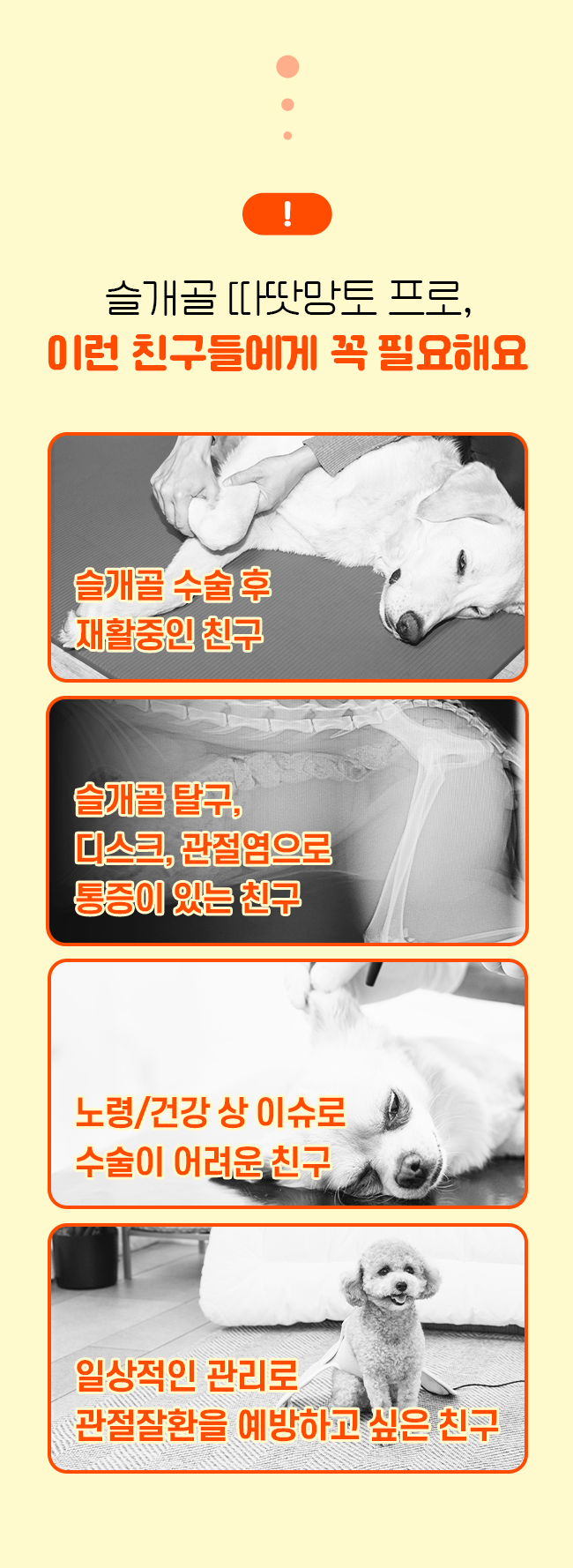 [가을특가][무료배송] 시리어스펫 슬개골 따땃망토 프로 13번째
