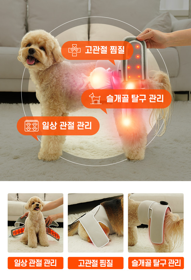 [무료배송] 시리어스펫 슬개골 따땃망토 프로 15번째