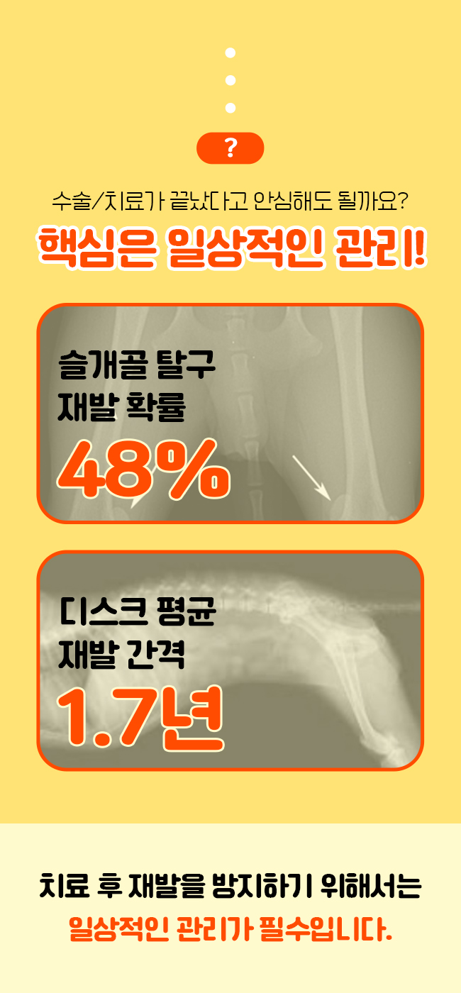 [무료배송] 시리어스펫 슬개골 따땃망토 프로 9번째
