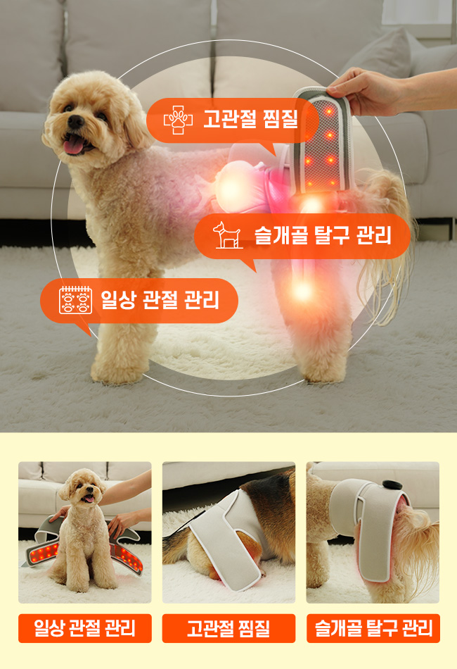 [무료배송] 시리어스펫 슬개골 따땃망토 프로 3번째