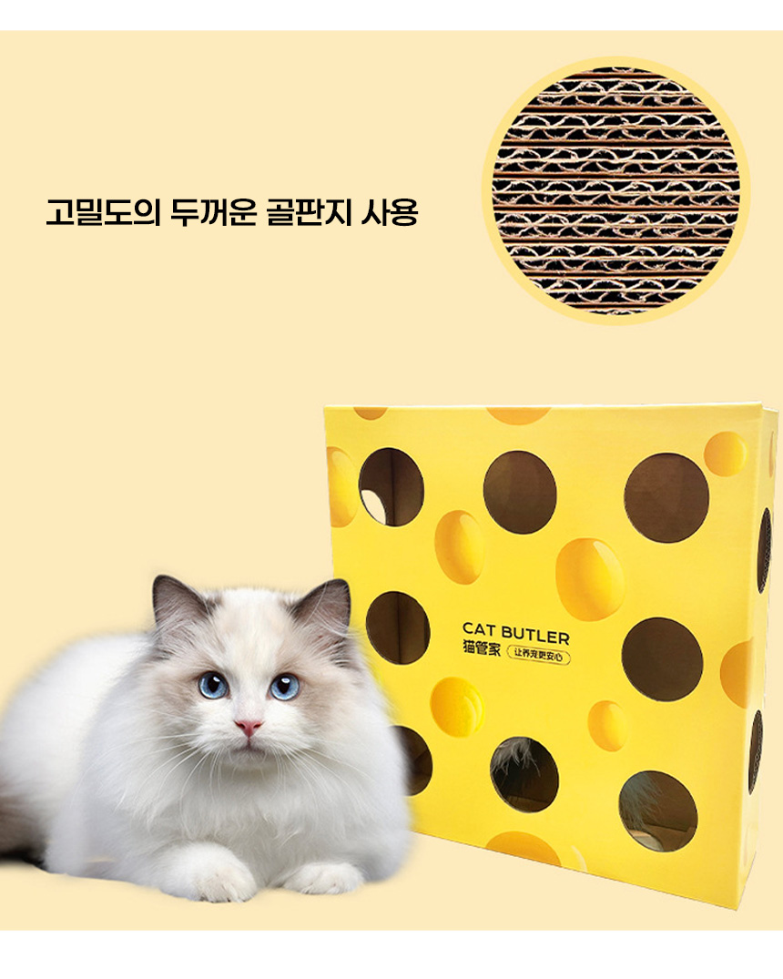 [무료배송] 아서아리 고양이 움직이는 깃털 회전 두더지 자동 장난감 15번째