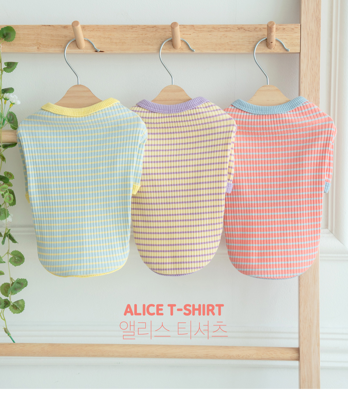 [무료배송] 펫츠랜드 앨리스 티셔츠 옐로우 S-2XL 1번째