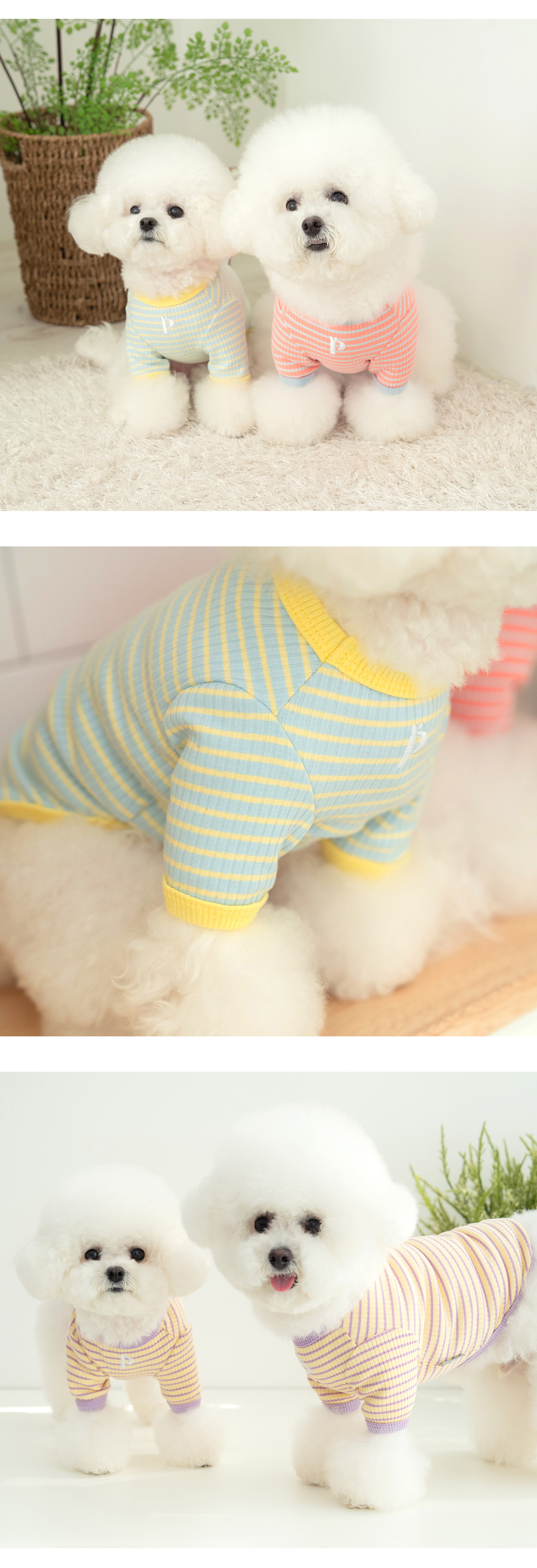 [무료배송] 펫츠랜드 앨리스 티셔츠 옐로우 S-2XL 3번째
