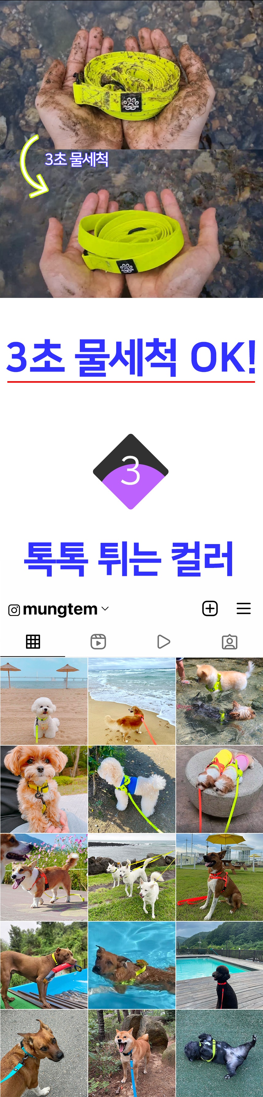 [무료배송] 멍템 방수 목줄 리드줄 2m 세트 5번째