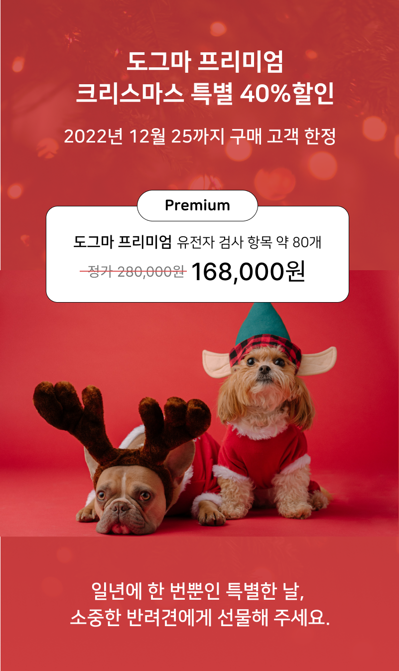 [무료배송] 피터페터 도그마 유전병 위험 체크 키트  9번째