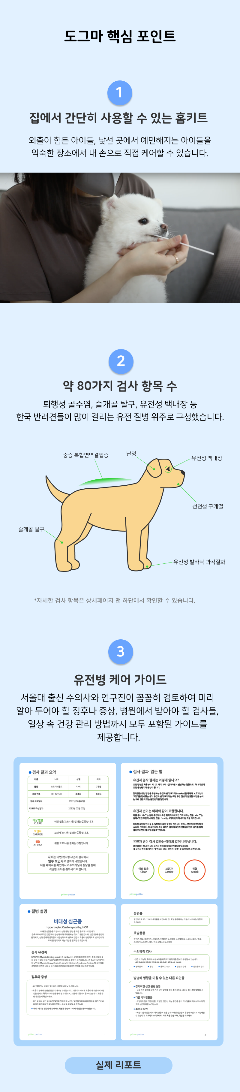 [무료배송] 피터페터 도그마 유전병 위험 체크 키트  7번째