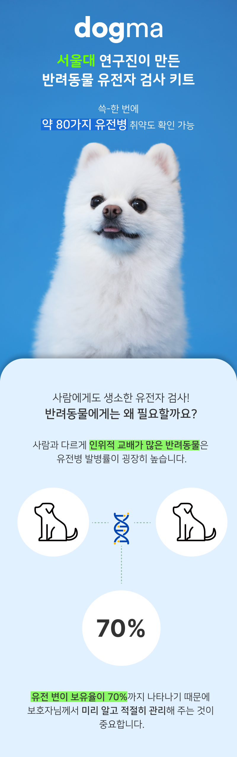 [무료배송] 피터페터 도그마 유전병 위험 체크 키트  3번째