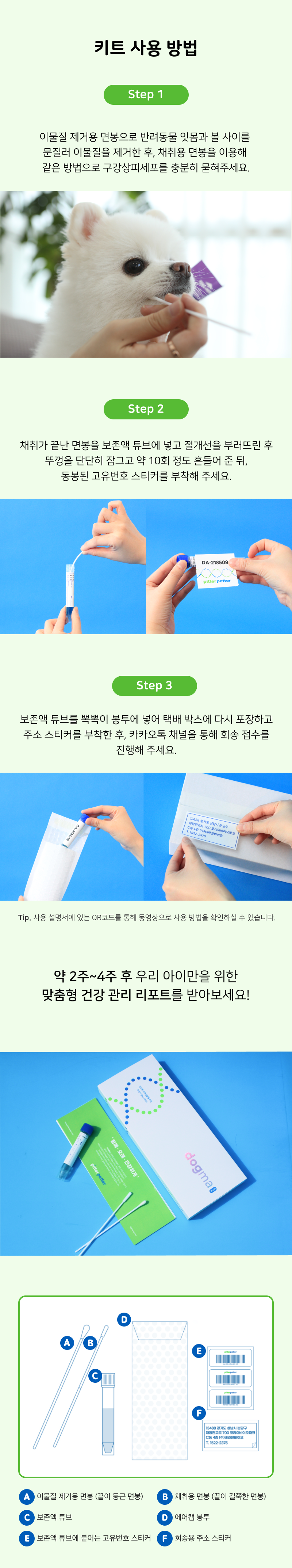 [무료배송] 피터페터 도그마 유전병 위험 체크 키트  8번째