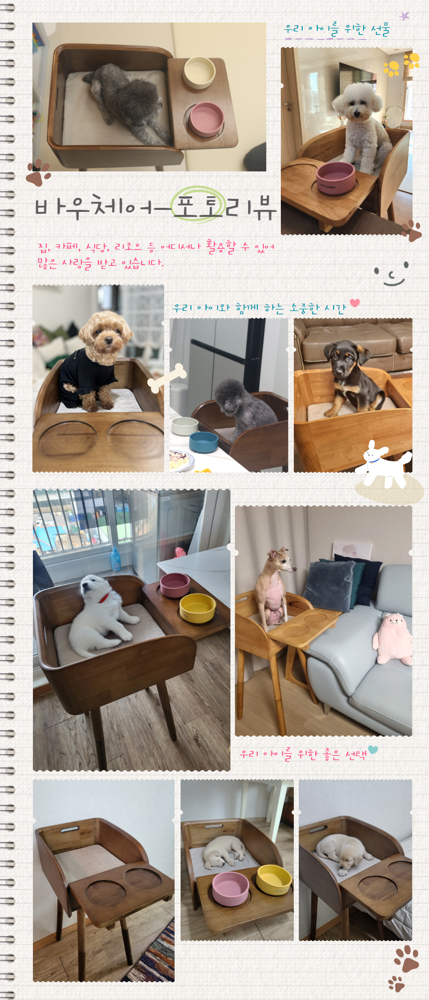 [NEW신상][무료배송] 리틀바우 강아지 원목 식탁 의자 바우체어 2번째