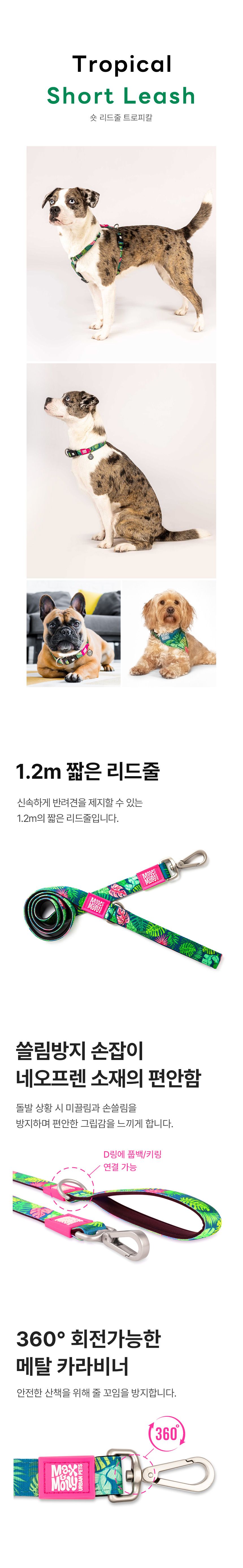 [무료배송] 맥스앤몰리 숏 리드줄 리틀몬스터/스트로베리/트로피칼/블루오션/워터멜론 XS-L 2번째