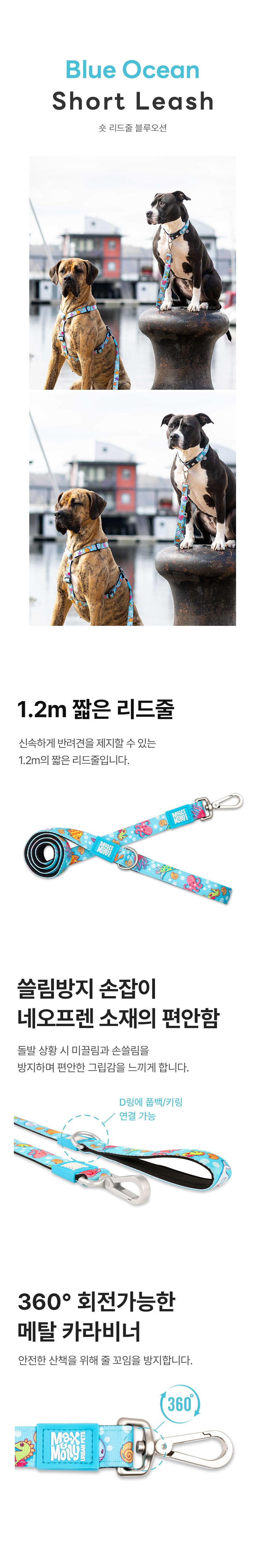 [무료배송] 맥스앤몰리 숏 리드줄 리틀몬스터/스트로베리/트로피칼/블루오션/워터멜론 XS-L 4번째