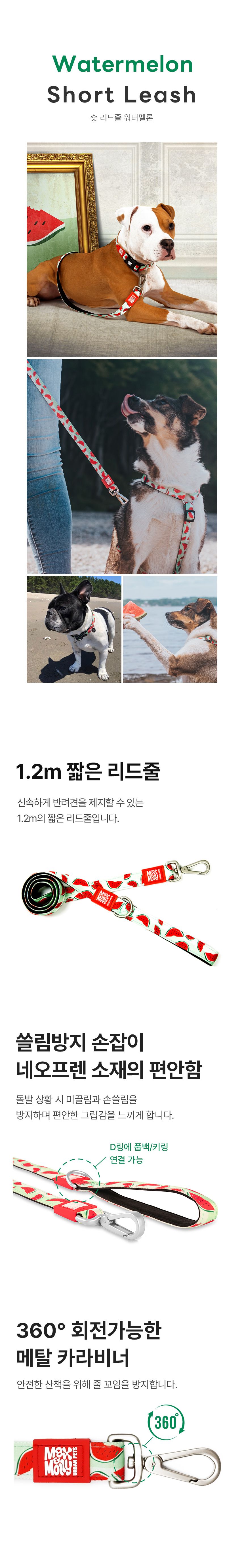 [무료배송] 맥스앤몰리 숏 리드줄 리틀몬스터/스트로베리/트로피칼/블루오션/워터멜론 XS-L 1번째