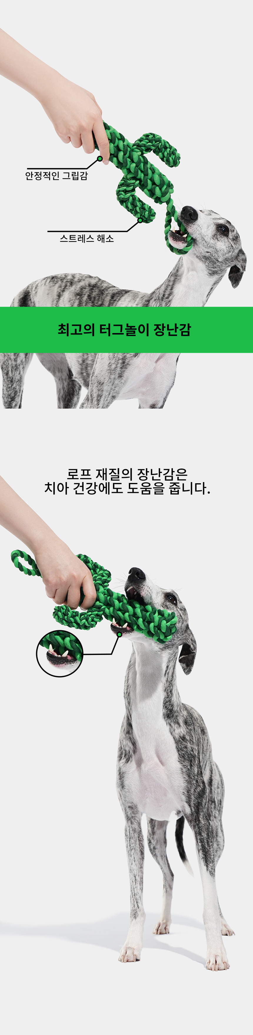 [NEW신상][무료배송] VETRESKA 선인장 매듭 로프 장난감 2번째
