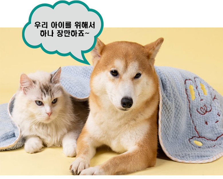 [무료배송] 예보들 가운 타월 블루/아이보리 12번째