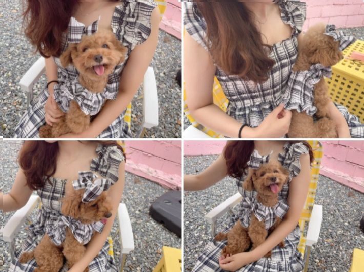 [무료배송] 찰리롤리 바캉스 체크 원피스 베이지/블랙 S-2XL 8번째