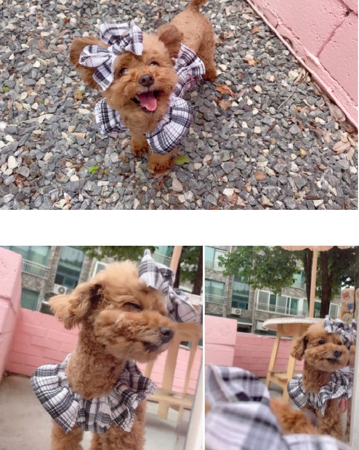 [무료배송] 찰리롤리 바캉스 체크 원피스 베이지/블랙 S-2XL 10번째