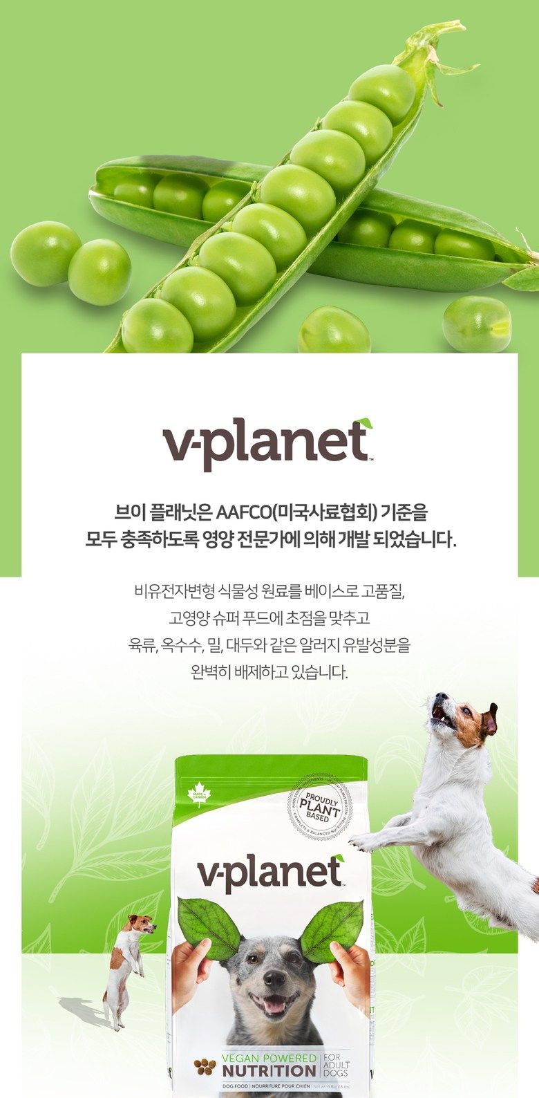 브이플레닛 독 비건사료 2kg 5번째