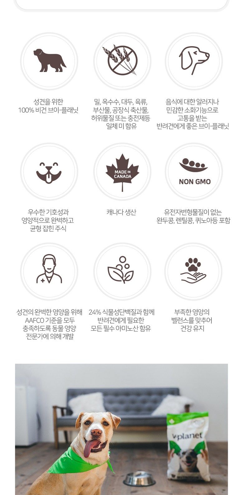 브이플레닛 독 비건사료 2kg 2번째