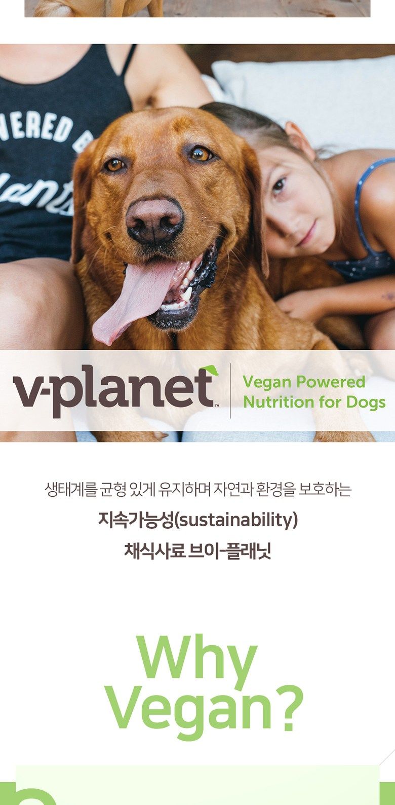 브이플레닛 독 비건사료 2kg 3번째