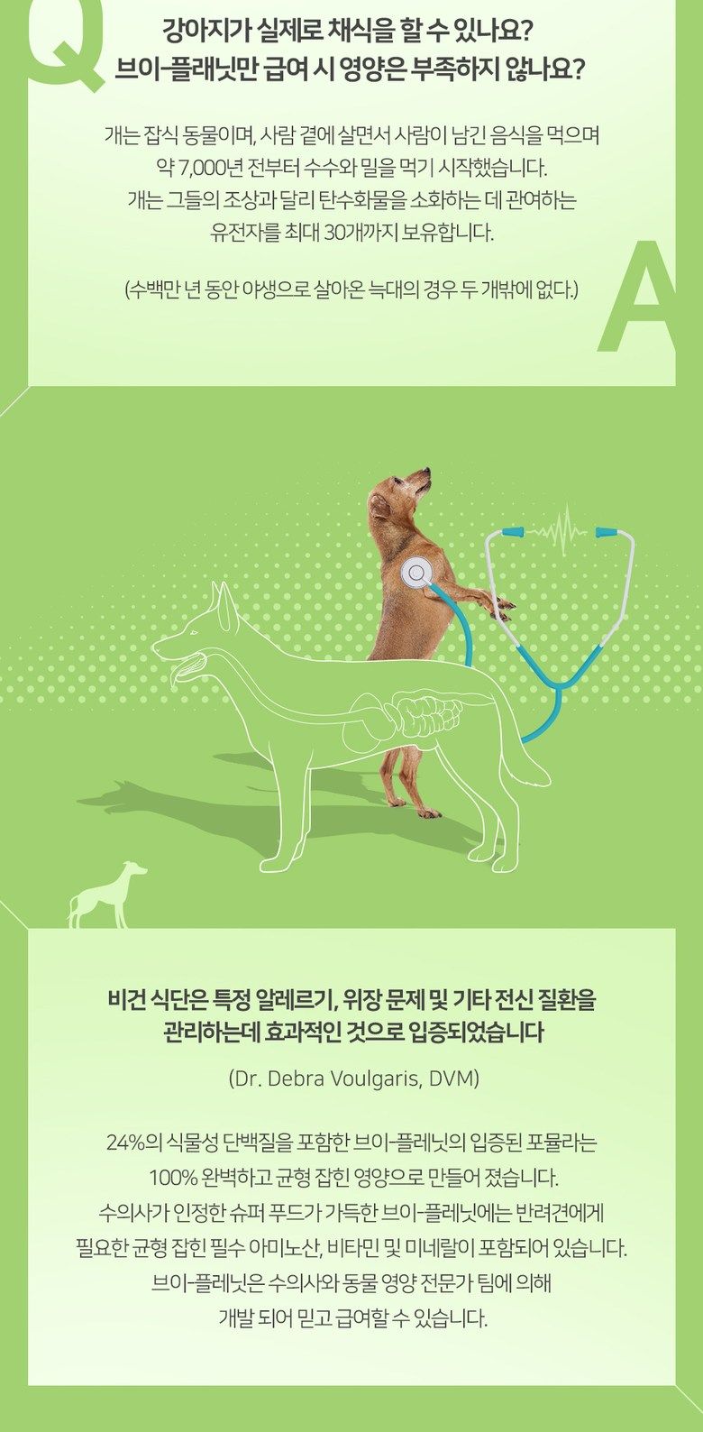 브이플레닛 독 비건사료 2kg 4번째