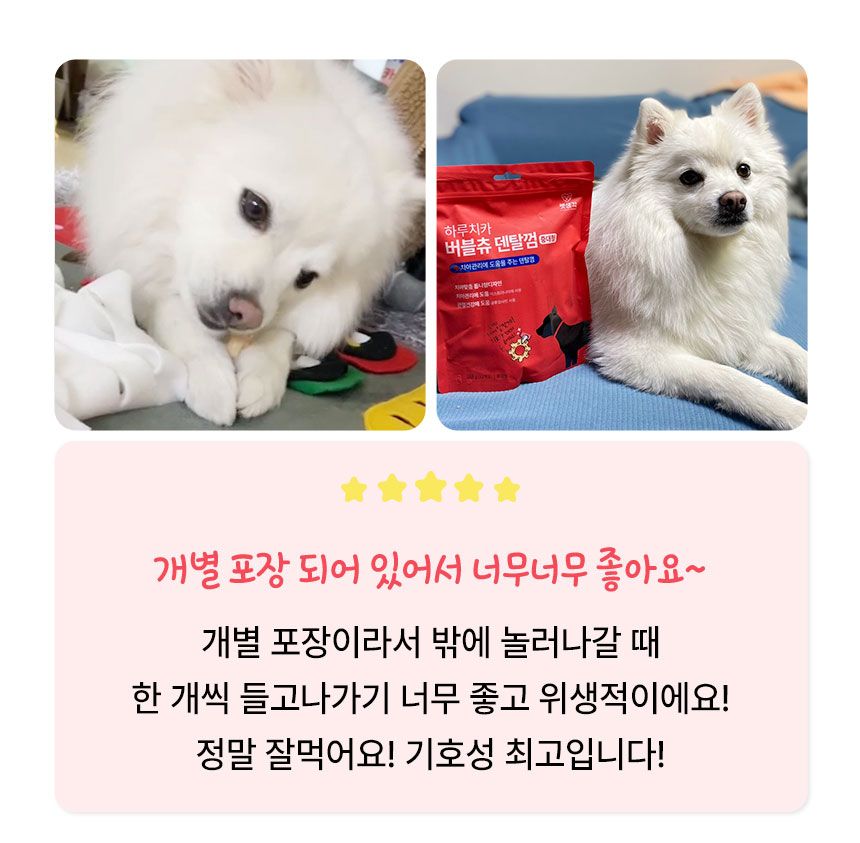 [심쿵펫페어]펫생각 독 하루치카 버블츄 덴탈껌 (톱니형) 소형 21개입 5번째