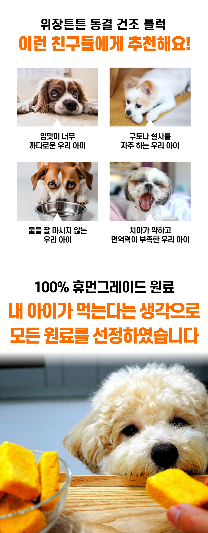 [NEW신상][무료배송] 건강하개 독 위장튼튼 동결건조 화식 닭 (4g*20블럭) 4번째