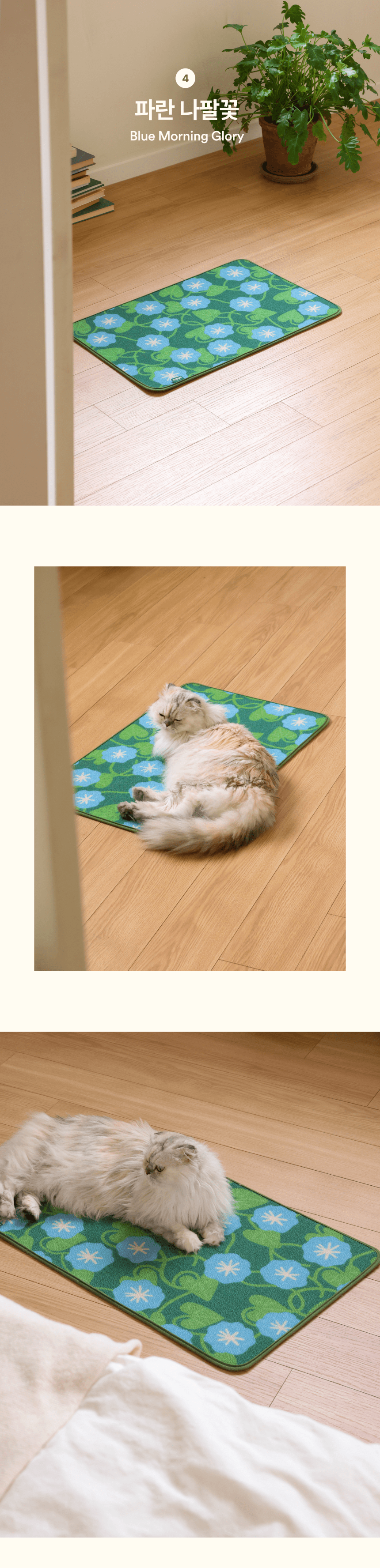 [NEW신상][무료배송] 피도테일 아트 포스터 스크래쳐 매트 파란 나팔꽃 15번째