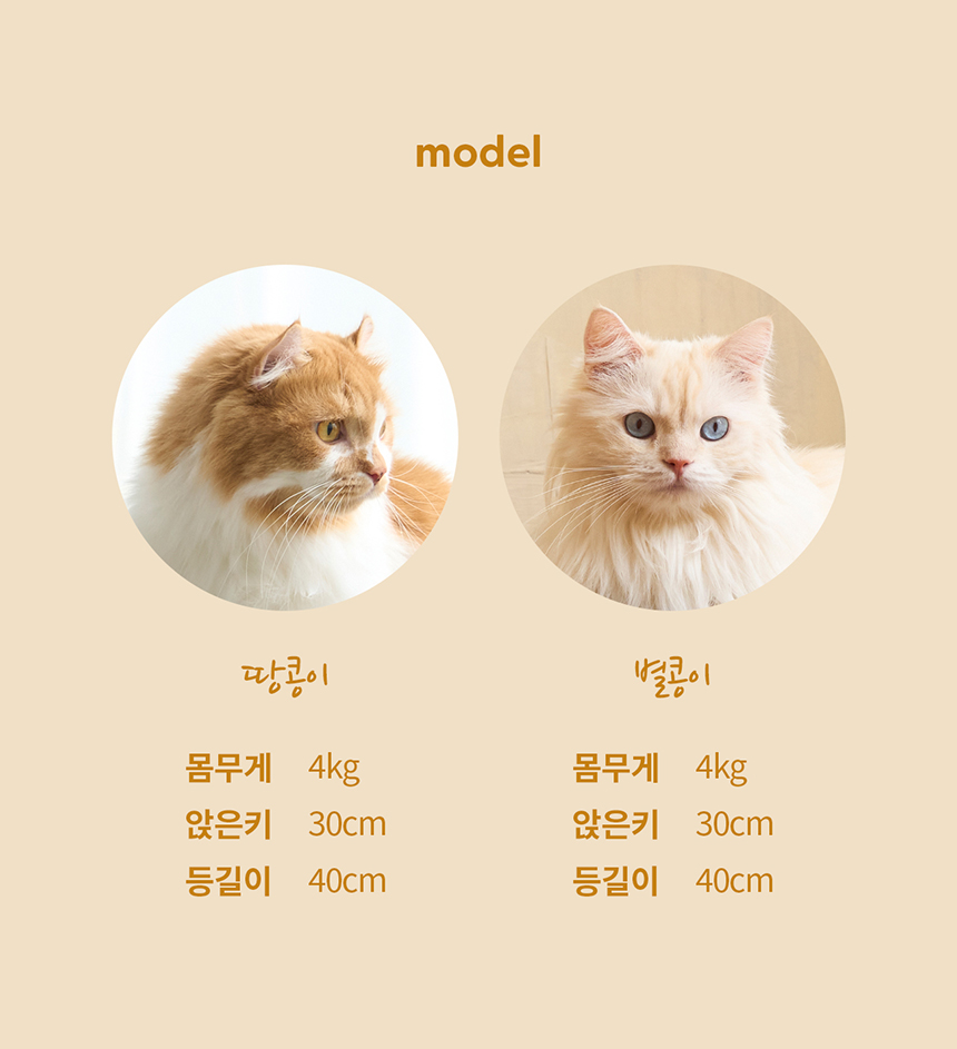 두잇 미니 피넛보드 스크래쳐 10번째