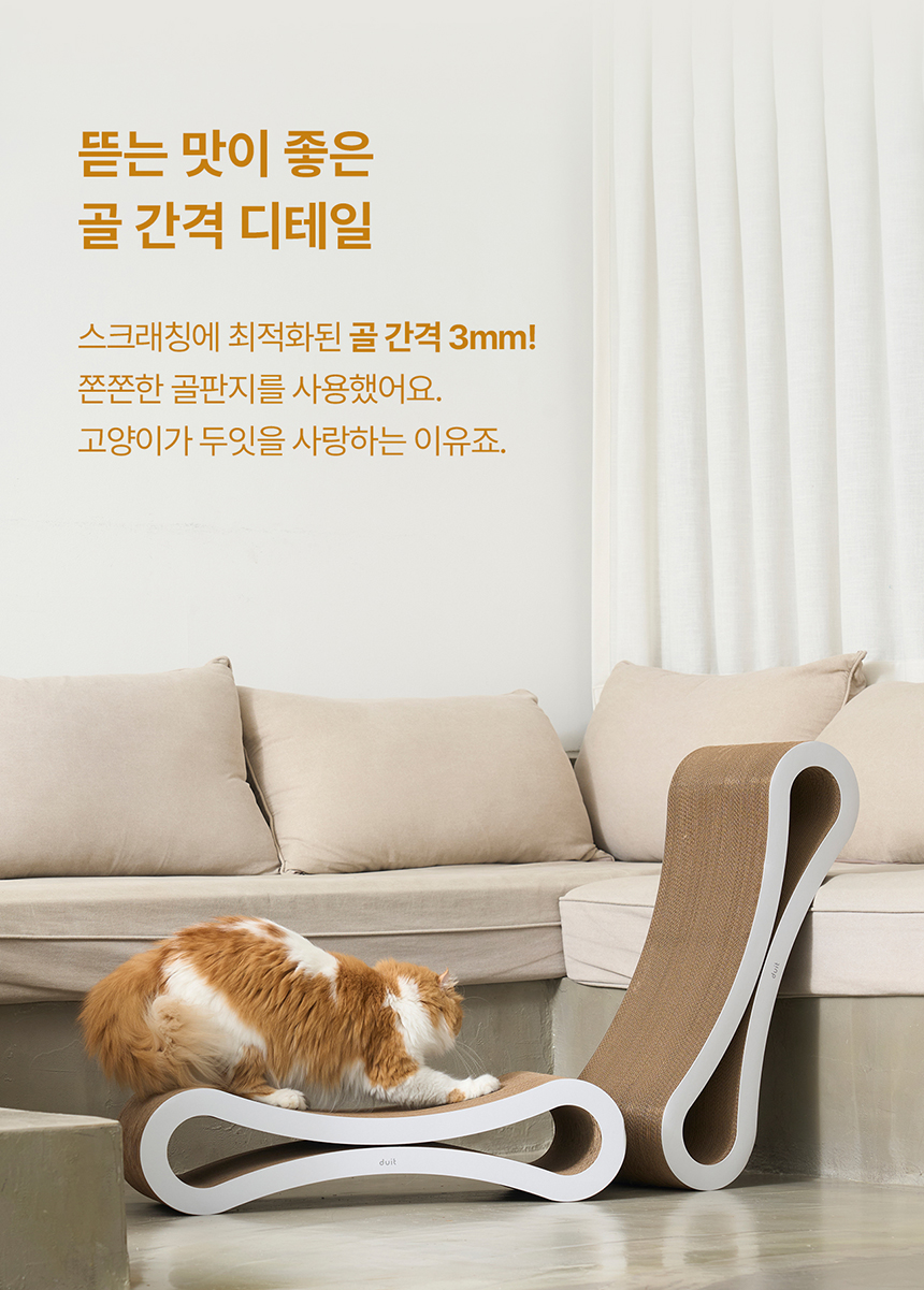 두잇 미니 피넛보드 스크래쳐 6번째