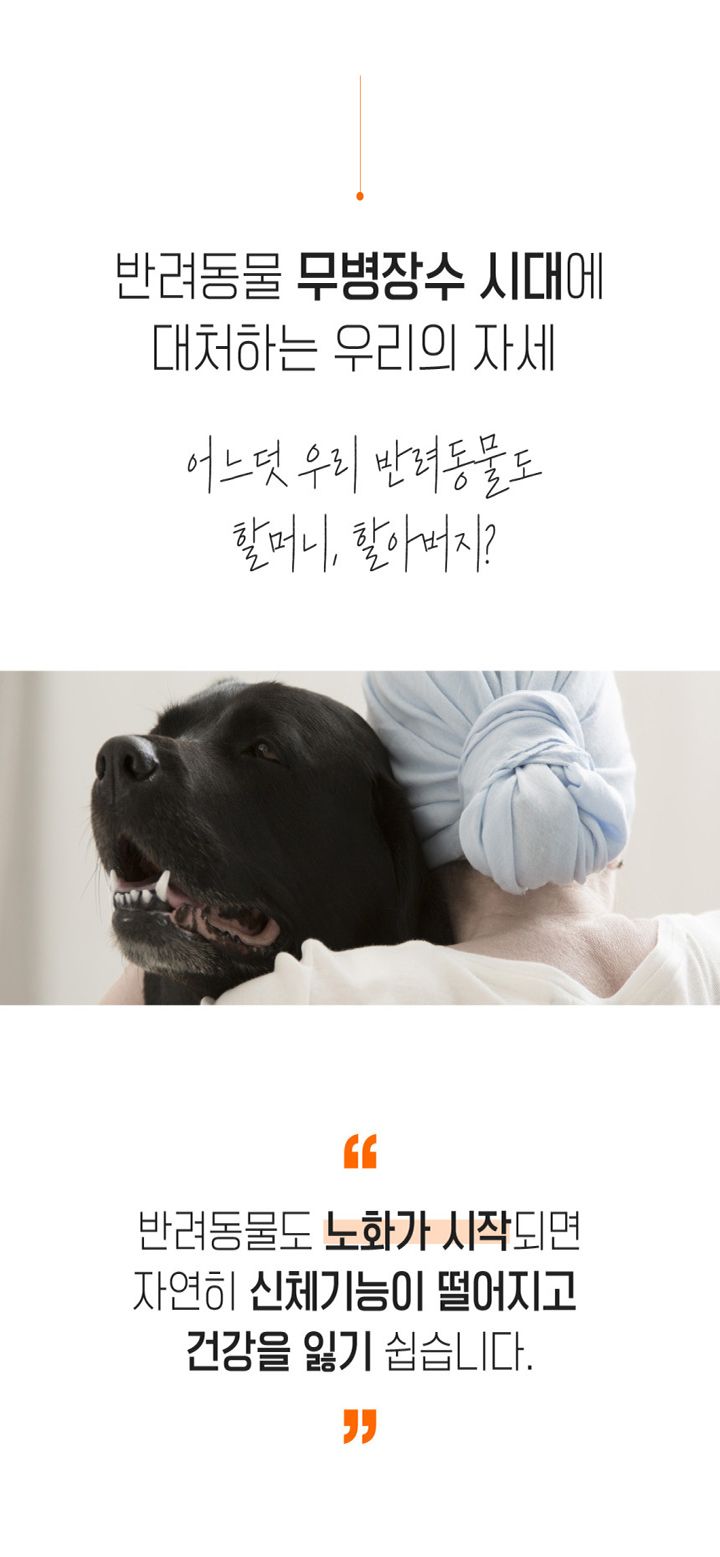 메디솔브 기관지 협착증 영양제 코큐텐 60g 2번째