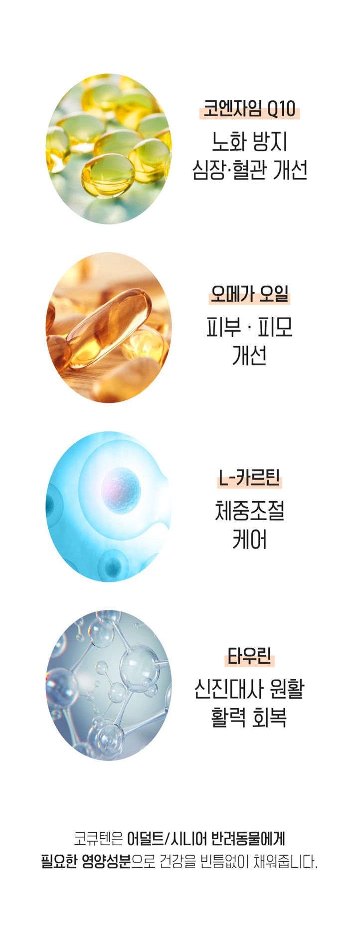 메디솔브 기관지 협착증 영양제 코큐텐 60g 4번째