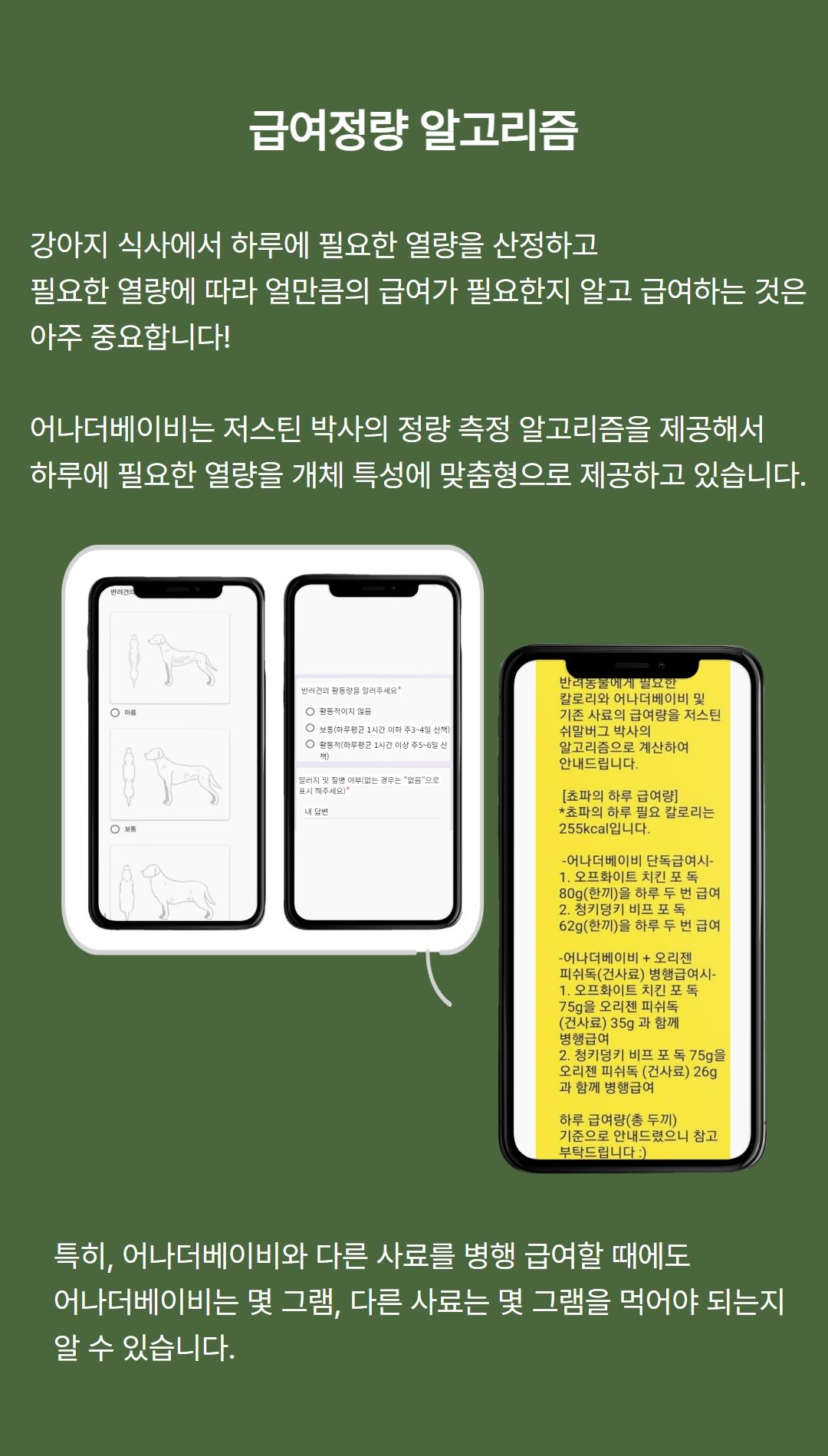 [무료배송] 어나더베이비 독 청키덩키 비프 75g*8p 13번째
