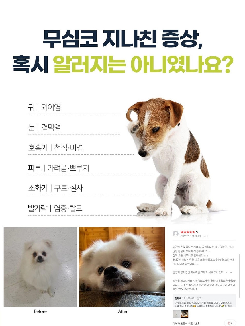 [NEW신상][무료배송] 벅스펫 벅스독 오리지널 5kg 13번째