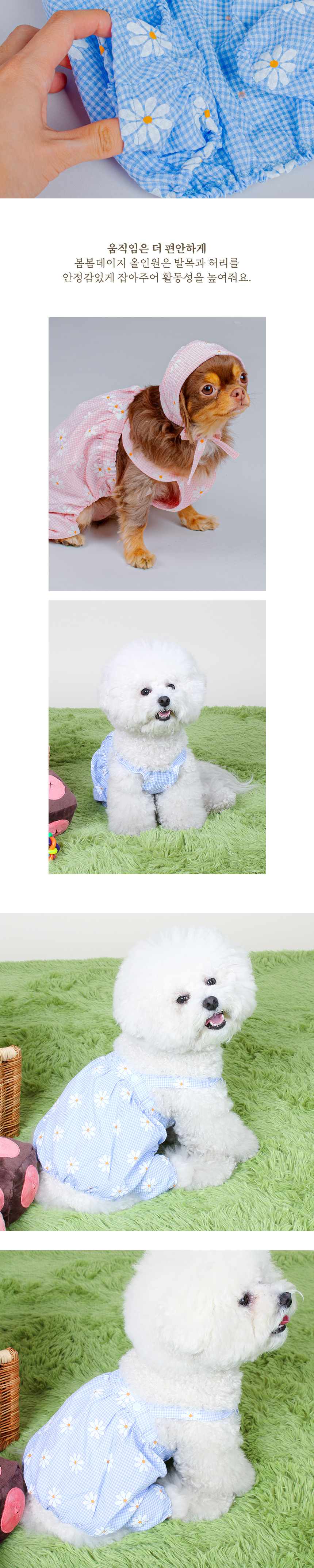 [무료배송] 초코펫하우스 봄봄 데이지 올인원 핑크/블루 S-XL 4번째